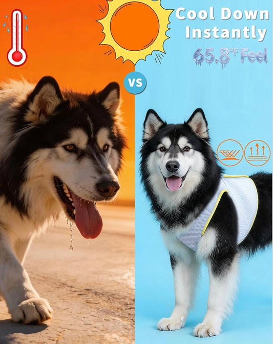 Dog Cooling Vest for Heatstroke Prevention and Comfort