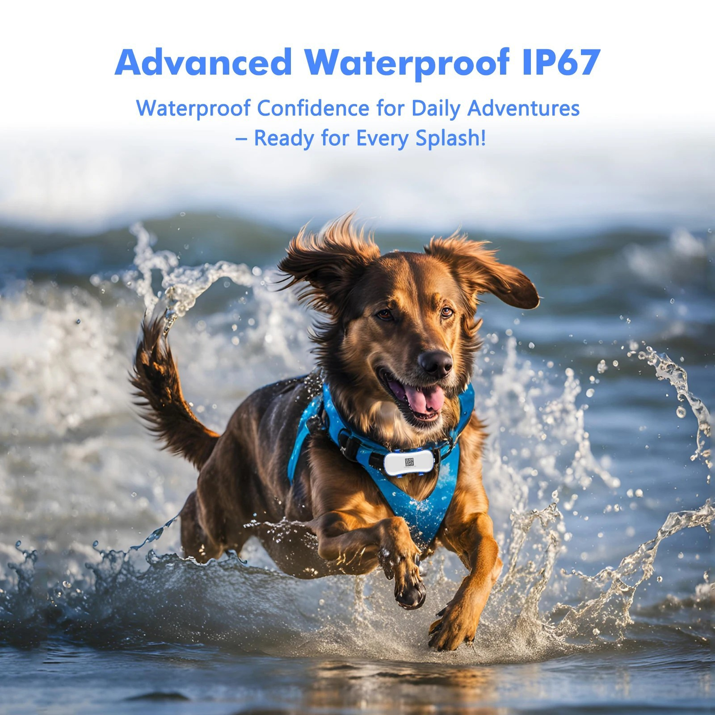 Waterproof Pet GPS Tracker with Real-Time Positioning