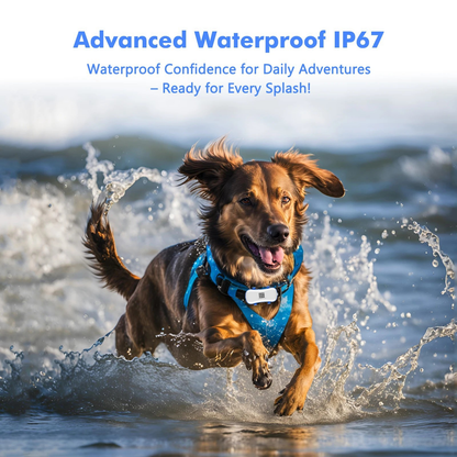 Waterproof Pet GPS Tracker with Real-Time Positioning