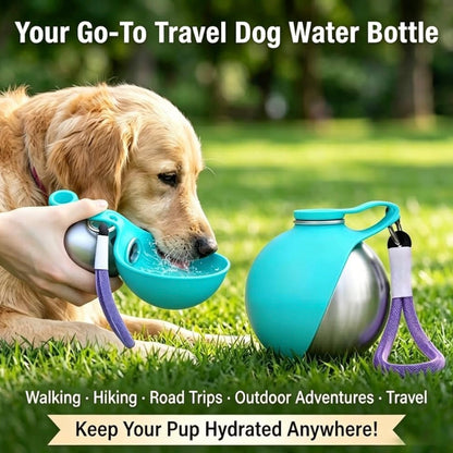 Foldable Silicone Pet Water Bottle, Leak-Proof, Portable with Carabiner Clip
